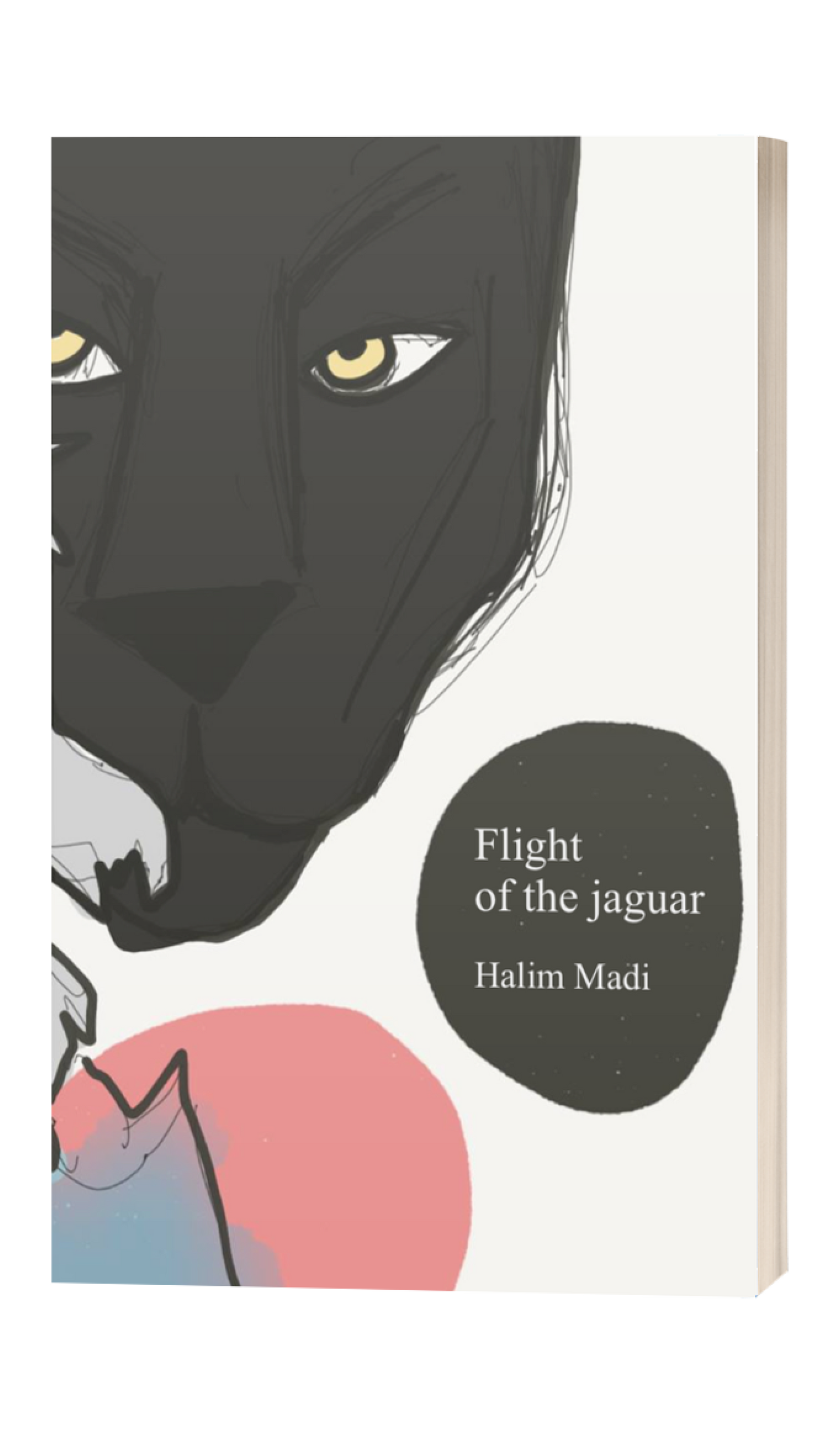 Flight of the Jaguar - 3D cover