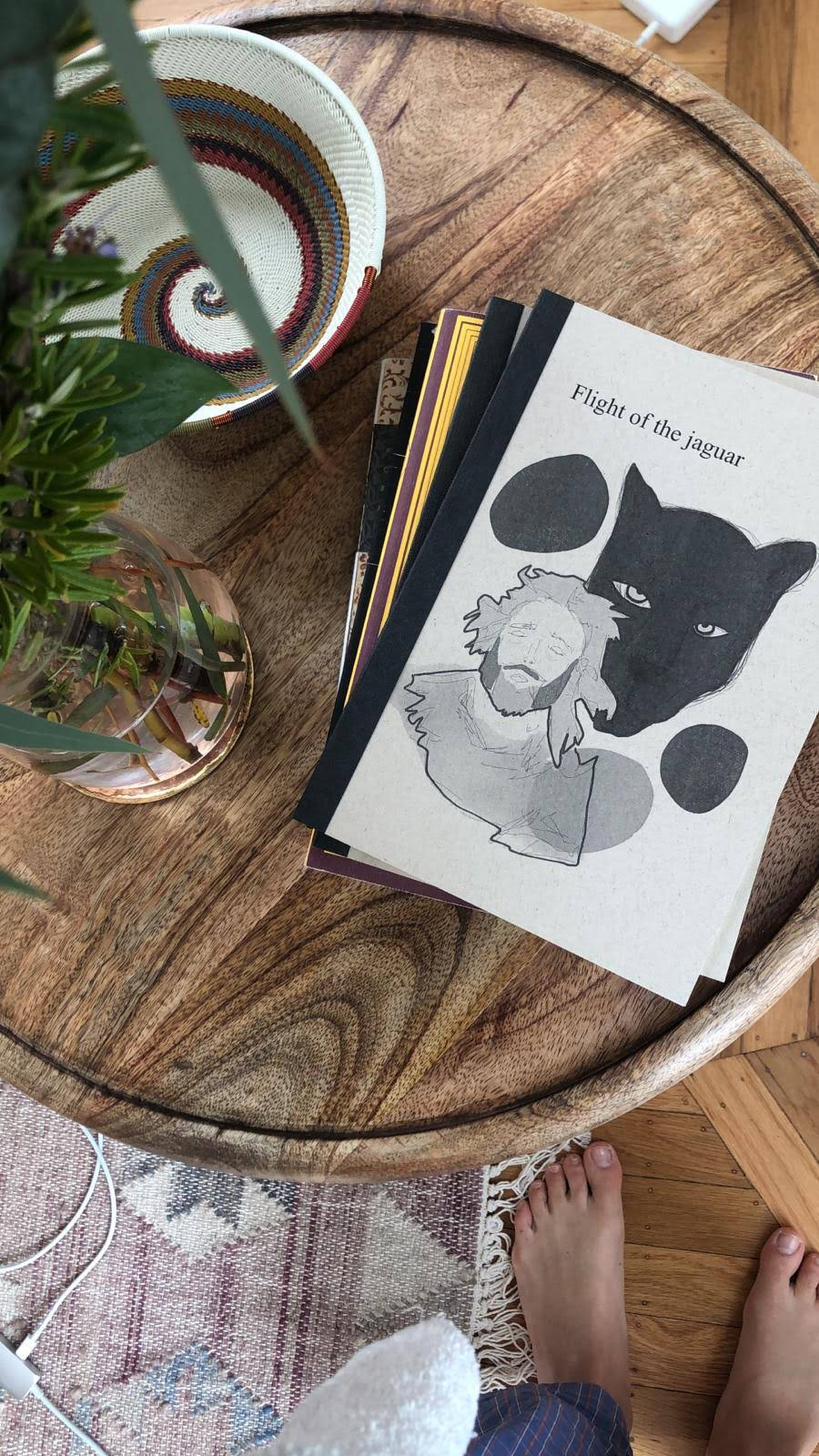 Flight of the Jaguar - cover