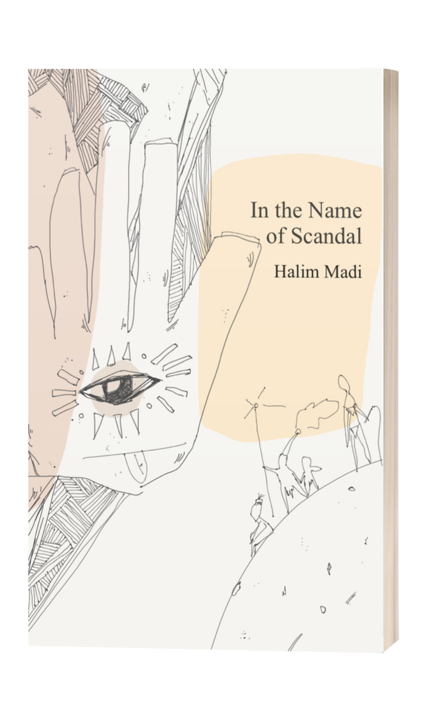 In the Name of Scandal - 3D cover