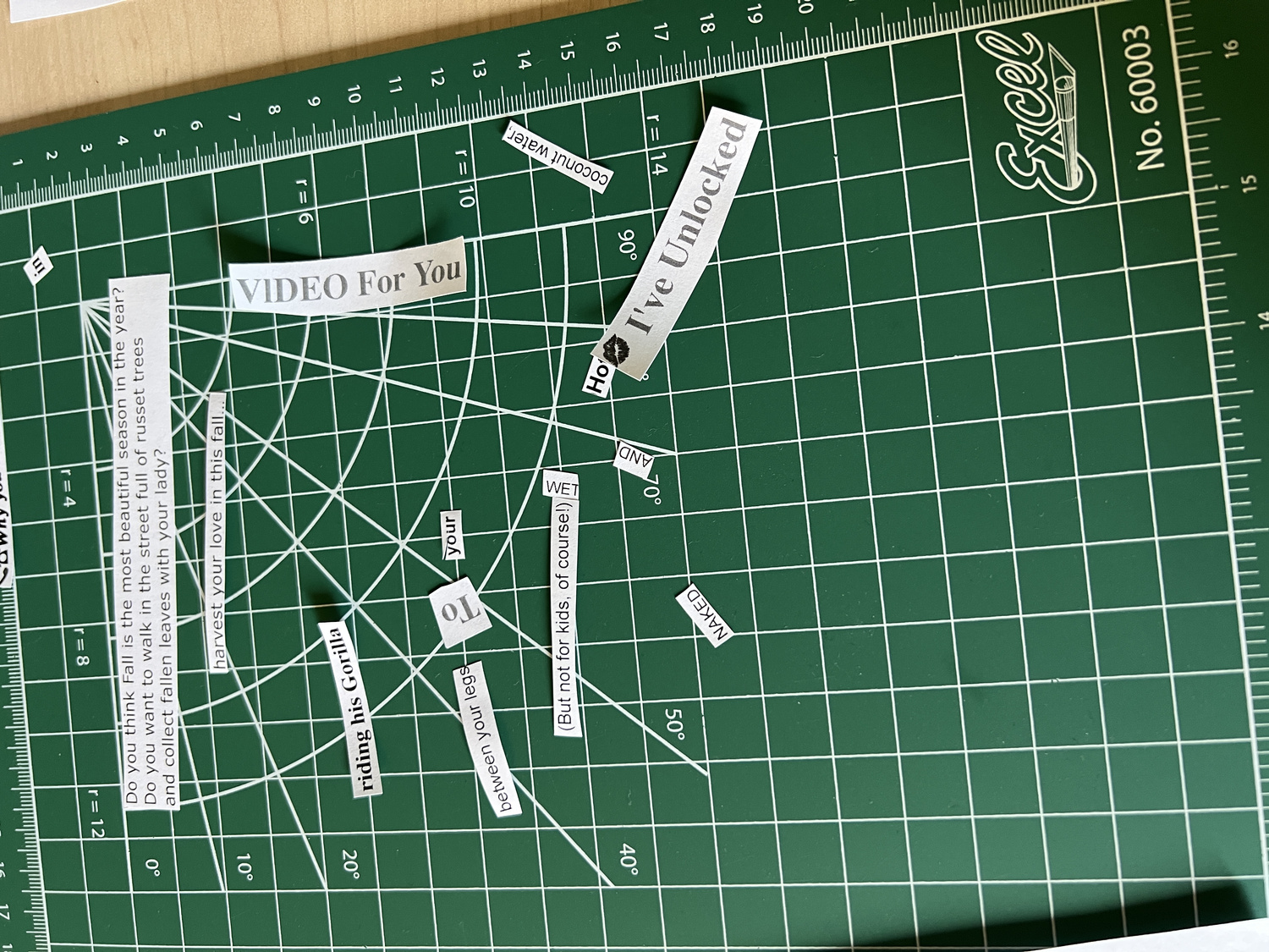 Detail of hand-cut text collage from appropriated language