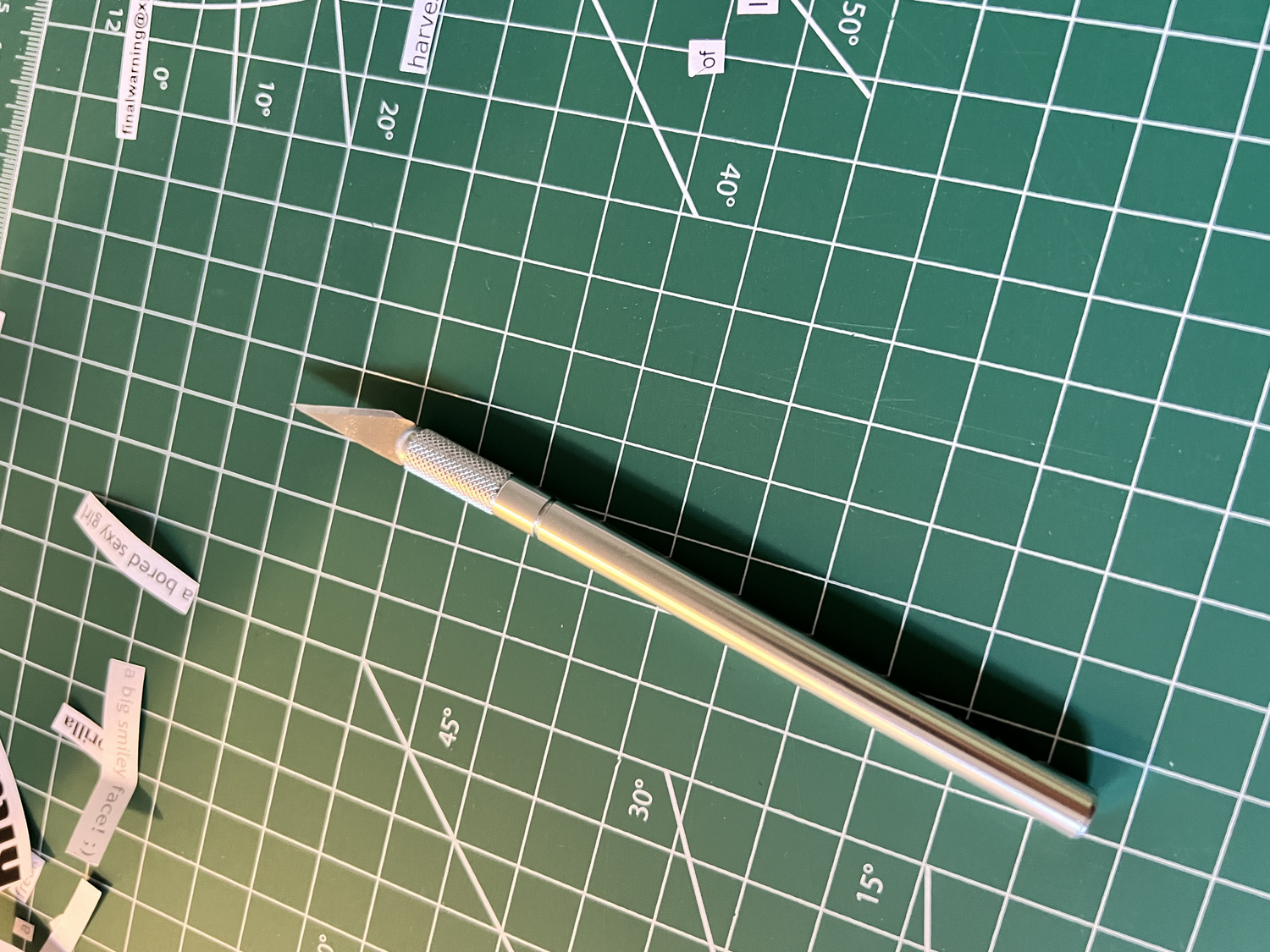 Visitor viewing the text collage installation