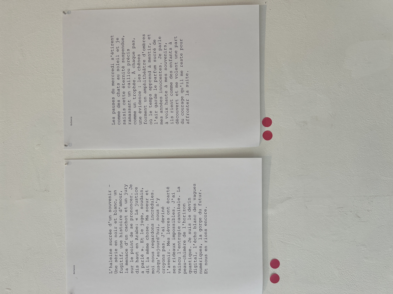 Gallery view of Carnation.exe with poems and voting stickers